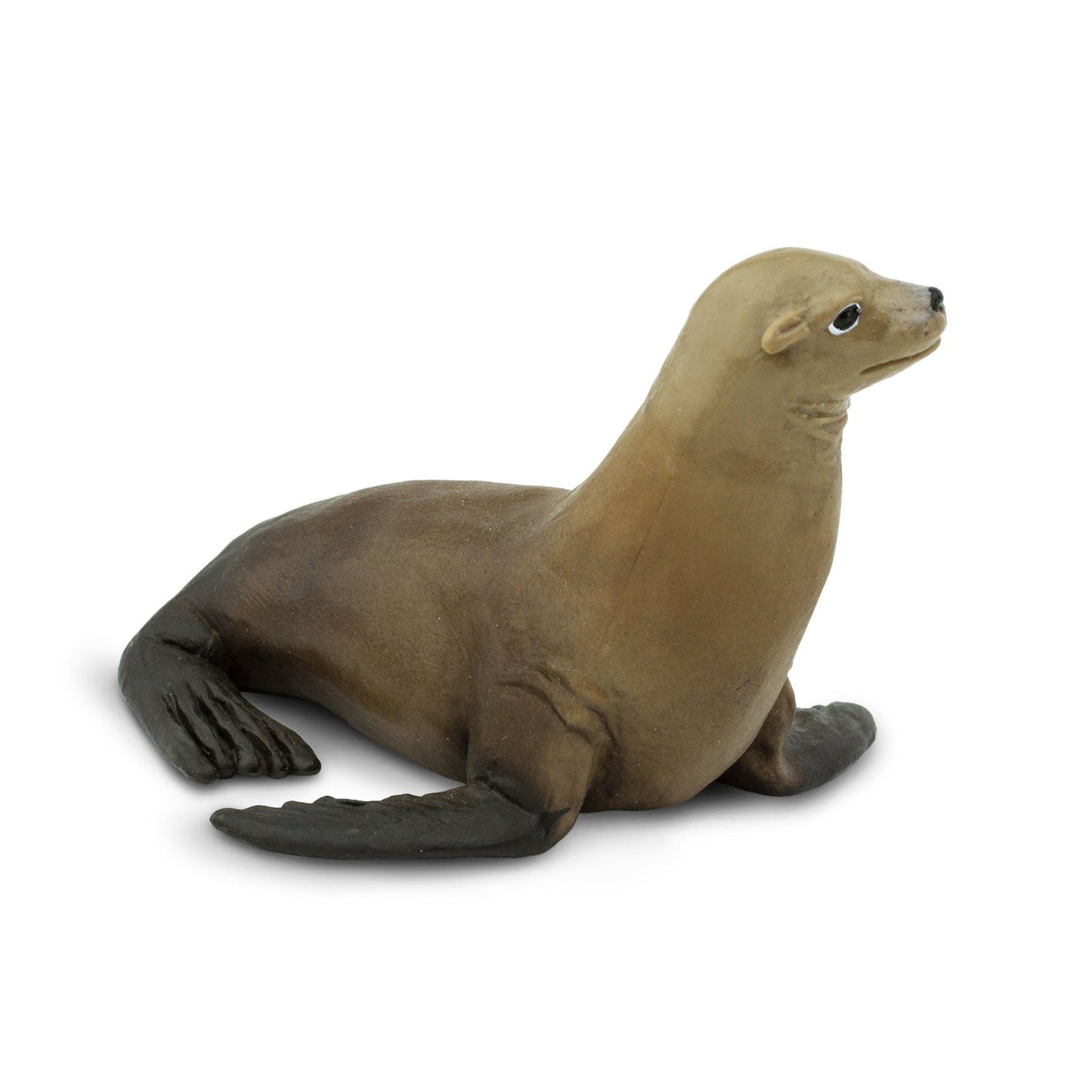 Sea Lion Toy