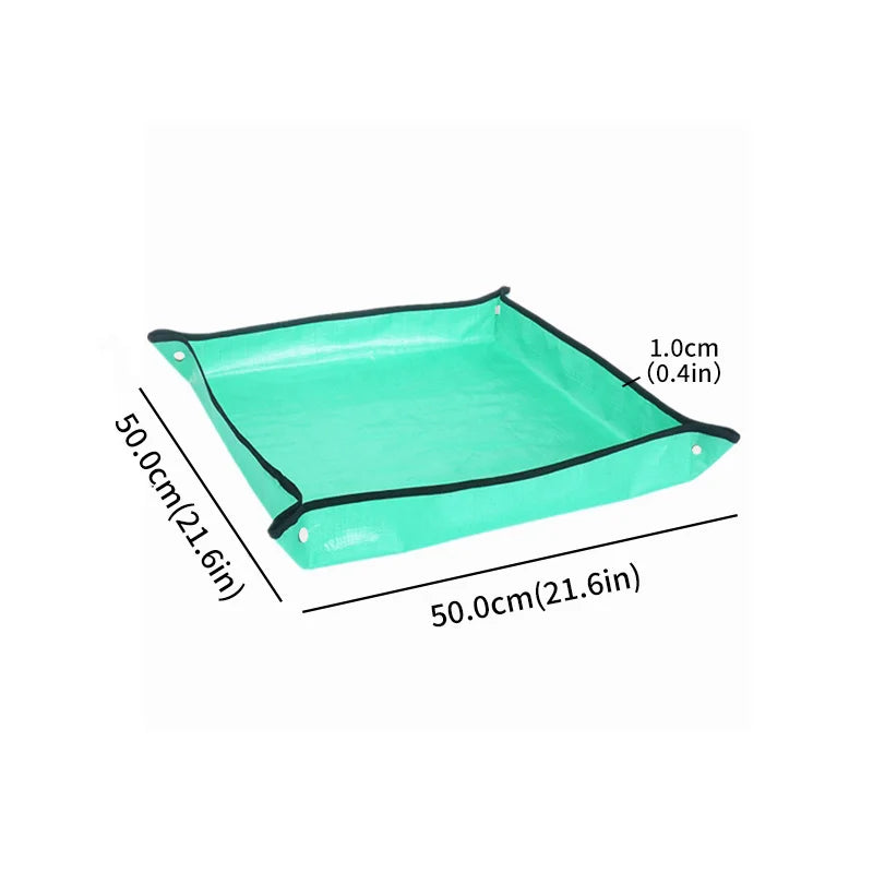 Sac407d450d824cbfaa1c81a7ce9a80f5y