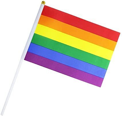 NNEDSZ Rainbow Gay Pride Stick Flag Hand Held Mini Flag LGBT Rainbow Flag - 1 Flag