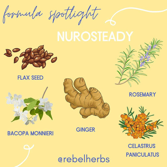 Rebel Herbs Organic NuroSteady 60 Capsules