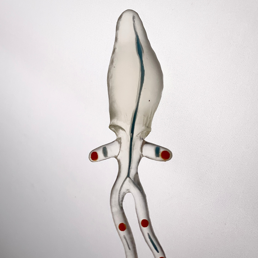 Deep Sea Creature Toys TOOB®