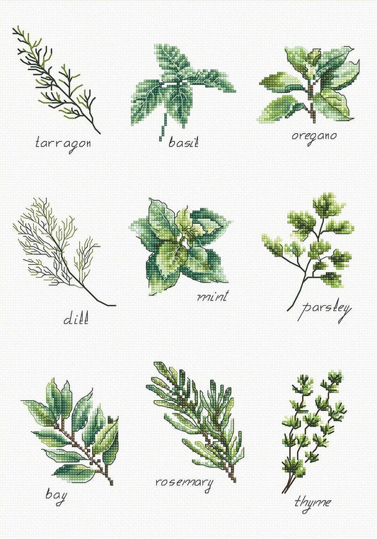 Spices and herbs B2345L Counted Cross-Stitch Kit